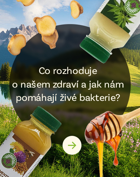 články zdarma
