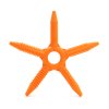 SOLABITE "Starfish" - chew tool with multitexture