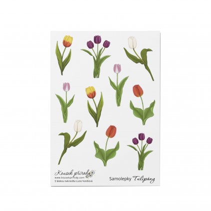 samolepky tulipany arch a6