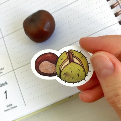 A89FE24D C856 4F52 BBF8 97B18EC34609