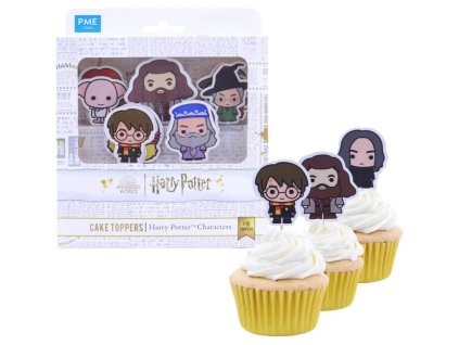 Harry Potter Zápich - Kladné postavy | Kouzelnaparty.cz