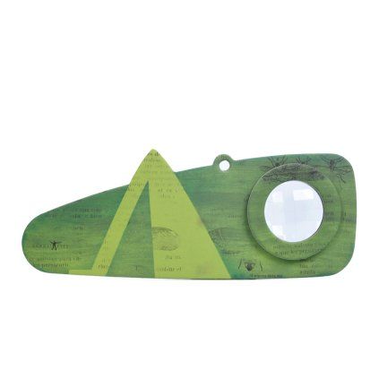 173784 cd024 grasshopper eye 1