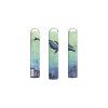 173868 cd134 kaleidoscope whales