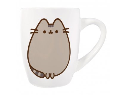 Pusheen Mug & Socks Set