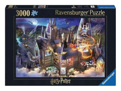 Puzzle Harry Potter Interiér Bradavic (3000 dílků)