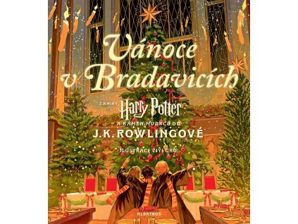 Harry Potter: Vánoce v Bradavicích