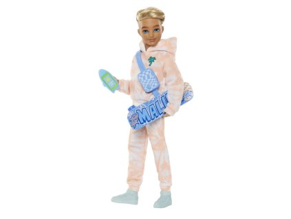 BARBIE DREAM BESTIES PANENKA - KEN