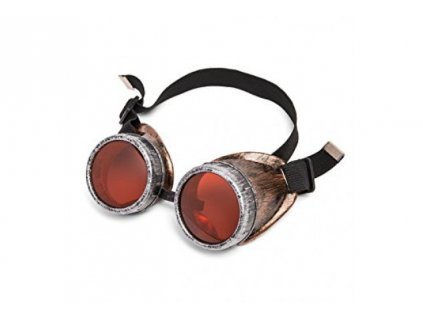 21544 1 psychonauts bryle