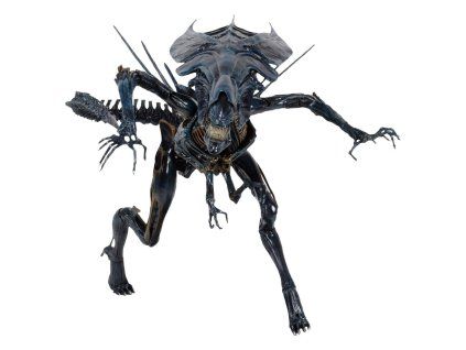 x neca51800 01