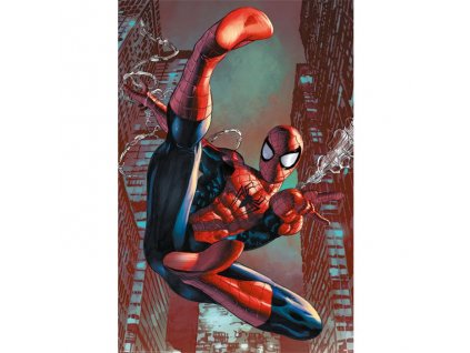 42496 spider man plakat web sling