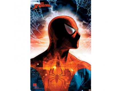 47338 spider man plakat protector of the city
