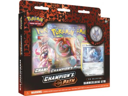 Pokemon Champions Path Pin Collection Hammerlocke Gym Express Pokemail 580x