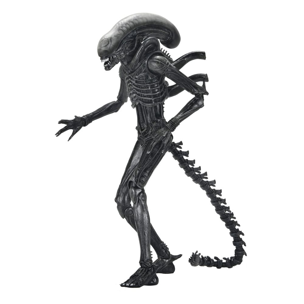 NECA Alien: Romulus Akční Figurka Ultimate Xenomorph XX121 18 cm