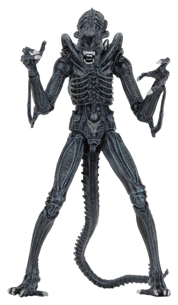 NECA Aliens Ultimate Akční Figurka Warrior (1986) Blue 23 cm