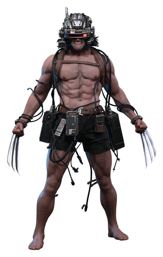 Hot Toys Marvel Comic Masterpiece Akční Figurka 1/6 Weapon X 31 cm