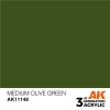 AK Interactive: General Series - Medium Olive Green