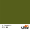 AK Interactive: General Series - Alga Green