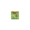 13533 3 carcassonne 3 rozsireni princezna a drak