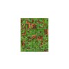 13533 1 carcassonne 3 rozsireni princezna a drak