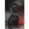x neca51742 01 b