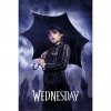62048 plakat wednesday downpour
