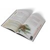 Vermin 2047 RPG Survival Kit Book