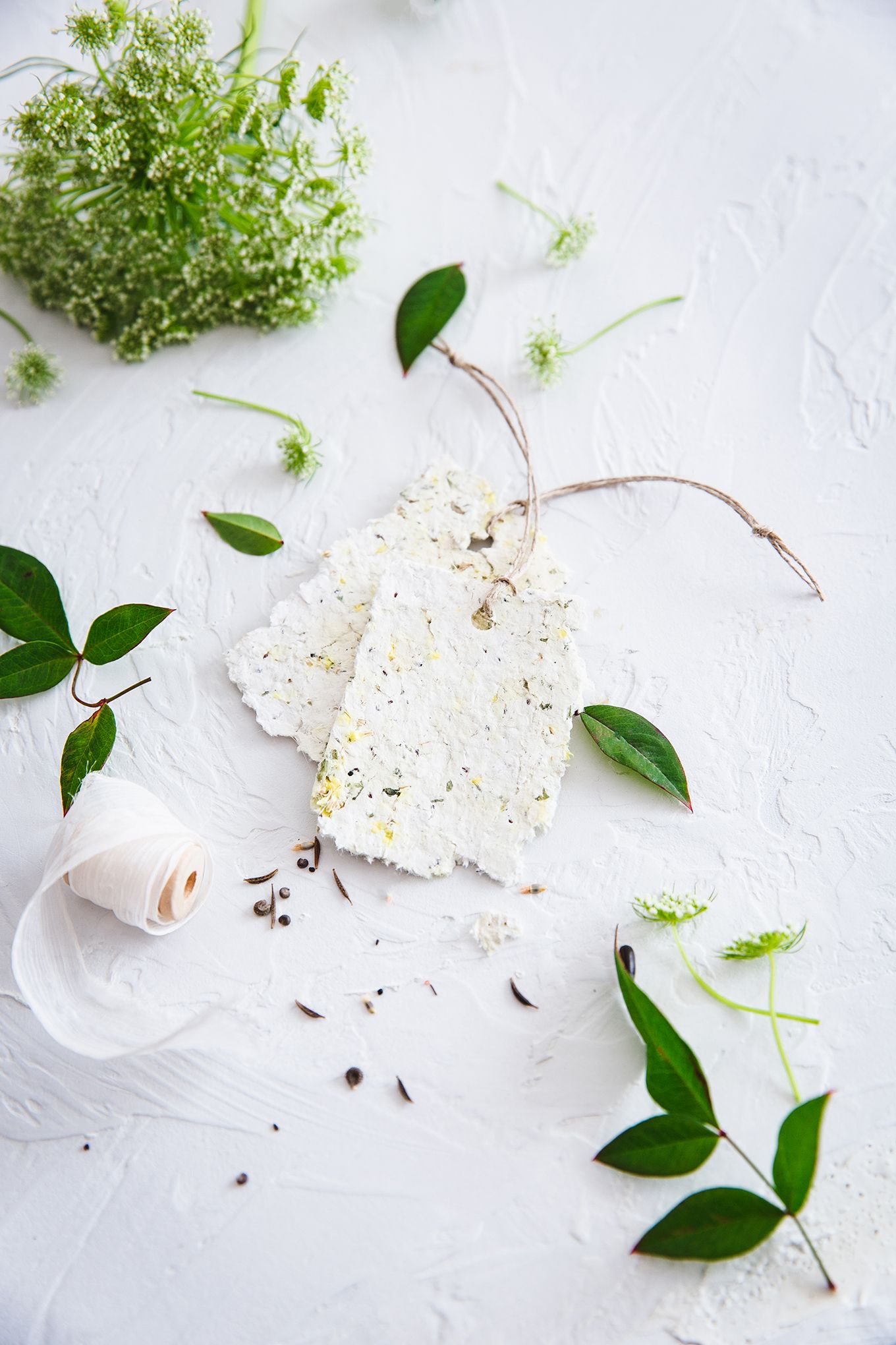 Máme pro vás dárek, který vyroste!