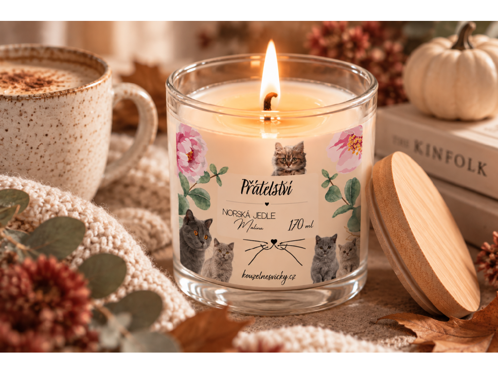 Sójová svíčka Přátelství Kočičky 170 ml – norská jedle & malina