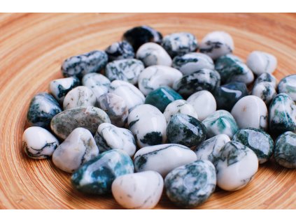 Achát stromový velikost M/L