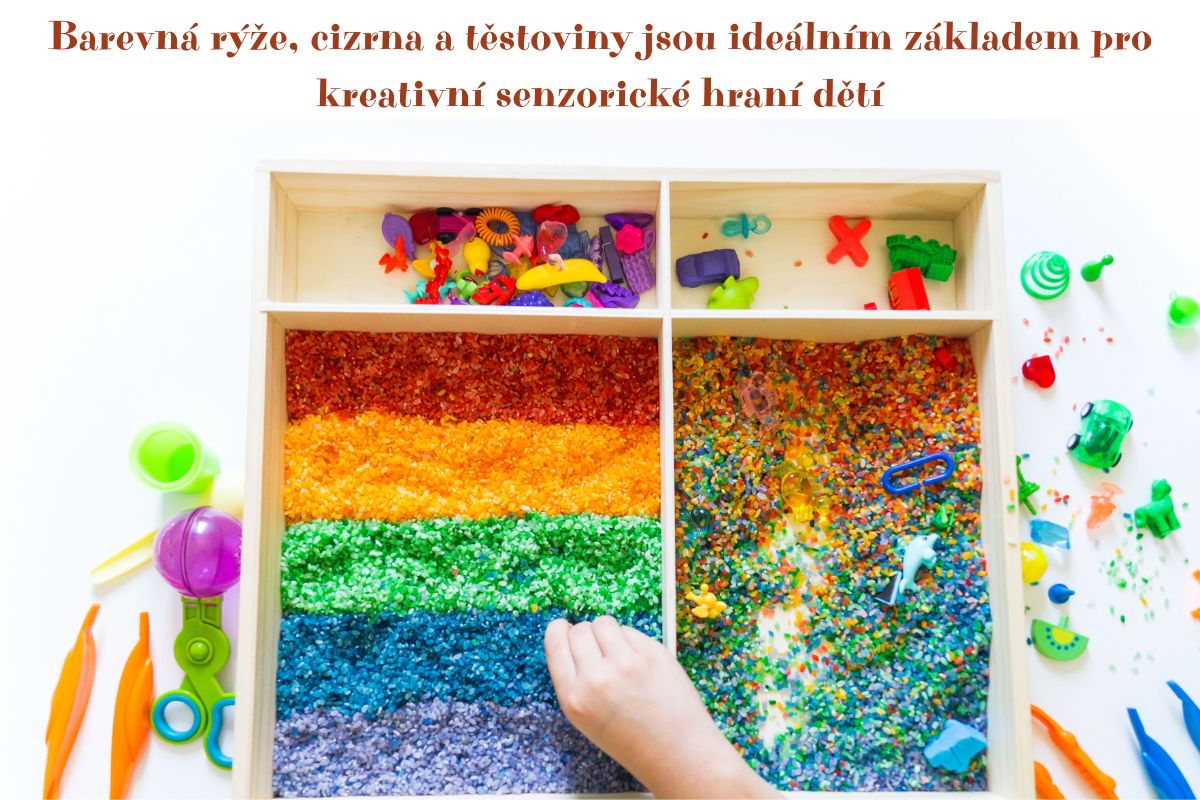 smyslove_hrani_s_barevnou_ryzi_cizrnou