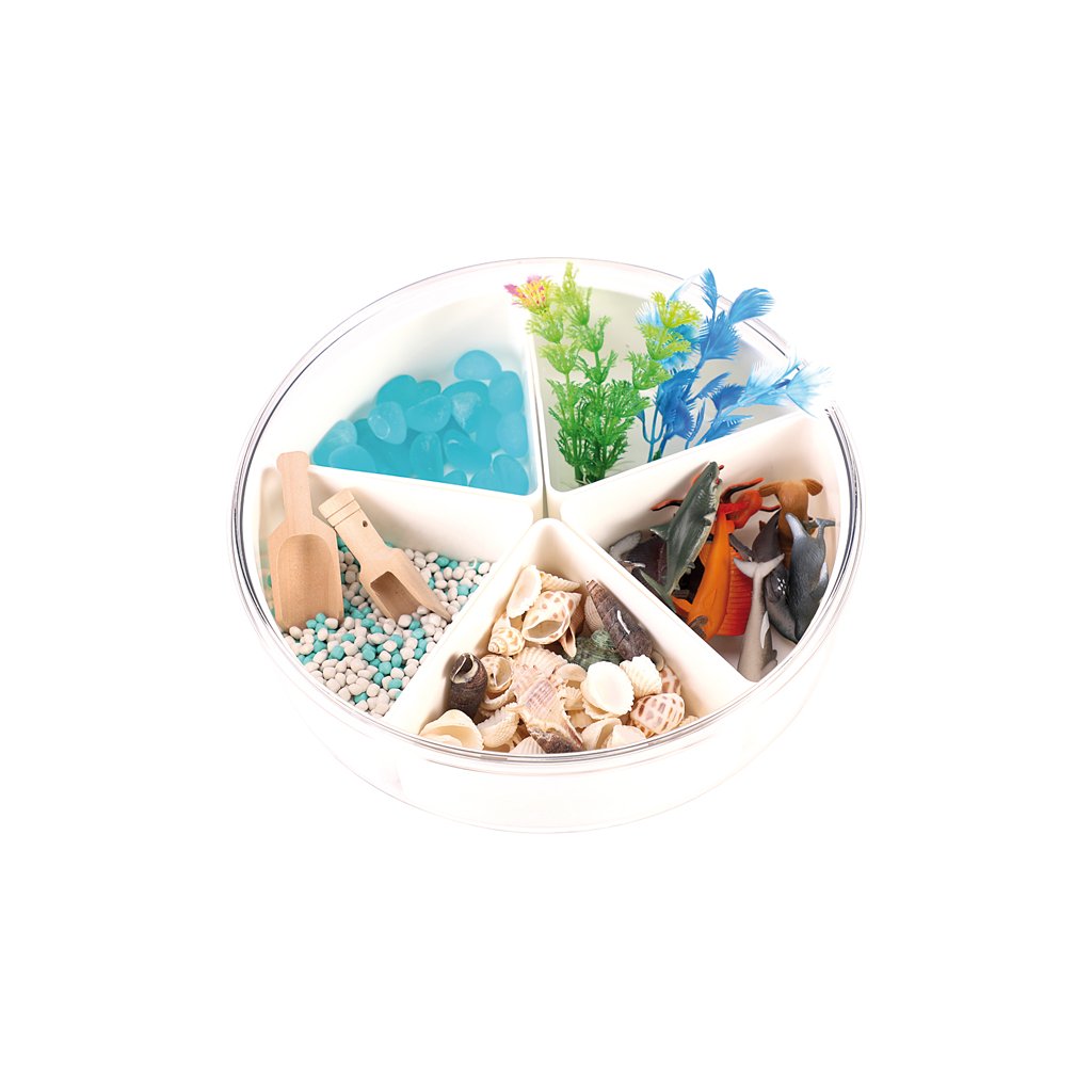 smyslovy_box_more_senzoricke_hrani_pro_deti_od_3_let