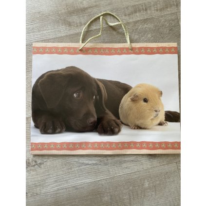 Dárková taška, motiv Pejsek a morče,š 37cm x v 28 cm