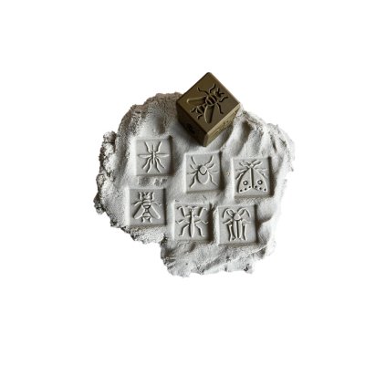 otiskovaci_kostka_do_modeliny_hmyz