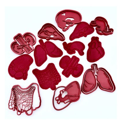 vykrajovatka_modelina_lidske_organy