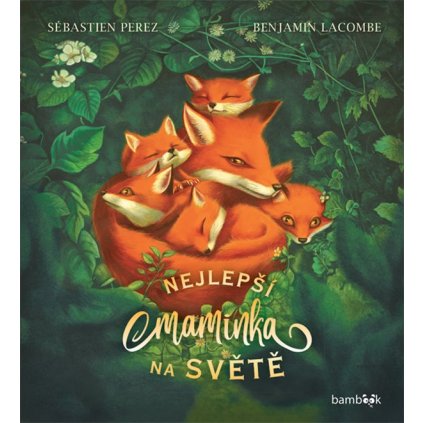 137527 Kniha Nejlepsi maminka na svete Perez Sebastien Grada 600 0 fit
