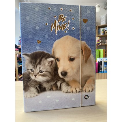 Box na sešity A4 - Pejsek a kočička