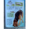 Usbourne Beginners - Dogs