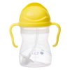 Kopie souboru 507 lemon sippy cup 04