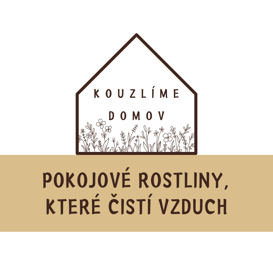 Pokojové rostliny, které čistí vzduch od škodlivin