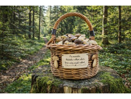 032b23fb 1605 457b aa0e 8327de53af91