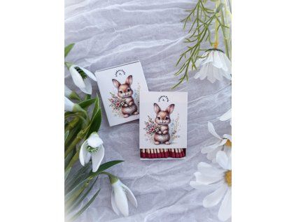 Zápalky jarní 🌸