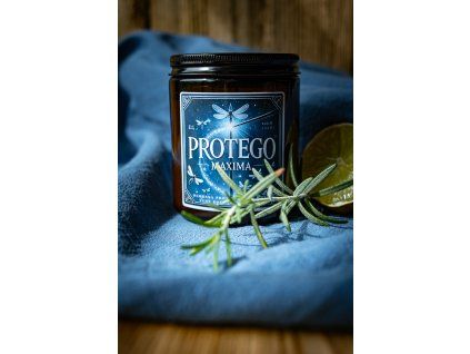 Protego Maxima 💙✨