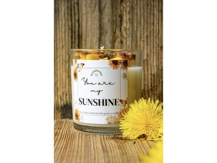 Sunshine ☀️🌻
