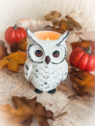 Tuhle sovičku už dobře znáte. 🦉✨ O prázdninách jste si ji mohli pořídit s vůní švestky se skořicí — a samozřejmě nesmí...