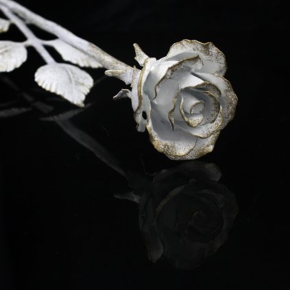 růže bílozlatá3