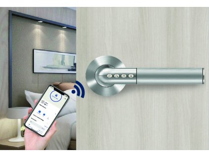 SMART HANDLE 1