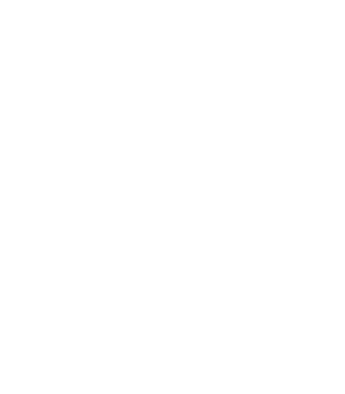 icon#4