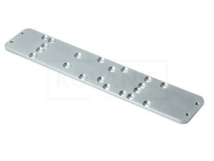 AA SP002863 Primary image
