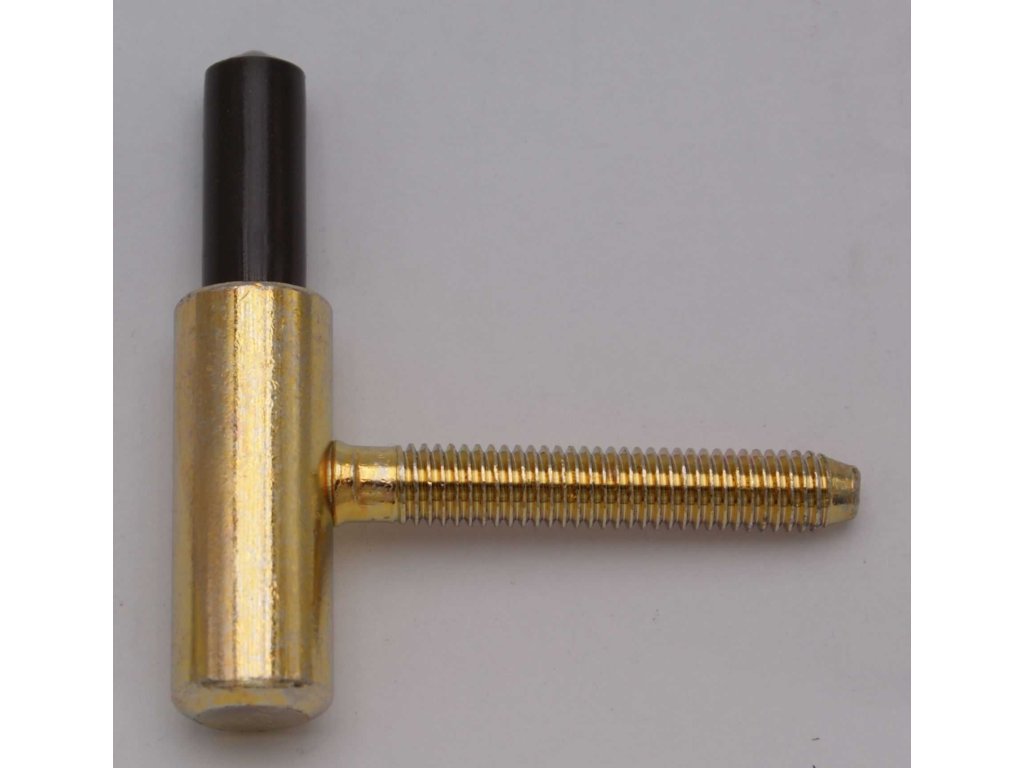 Zaves dverni 80 10 SD M8x50 17 5 zluty Zn a34454633 10638