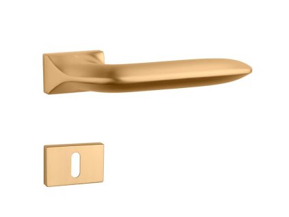 a2102f0b9b612f2e5c4047aff3a6e5e3